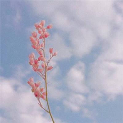 澳门风云电玩城安卓版特色截图